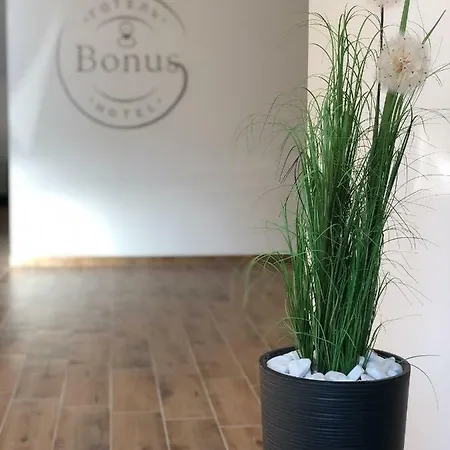 Bonus *