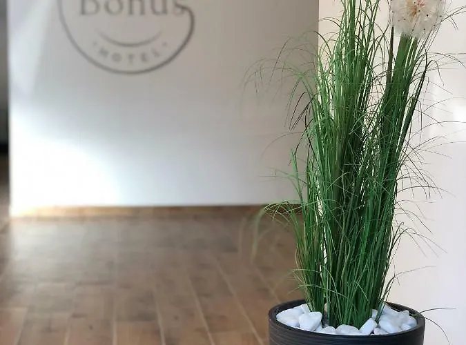 Bonus *